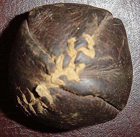 19th Century Lemon Peel Ball 3